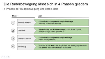 Der Ruderschlag lässt sich in 4 Phasen gliedern